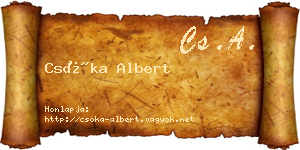 Csóka Albert névjegykártya